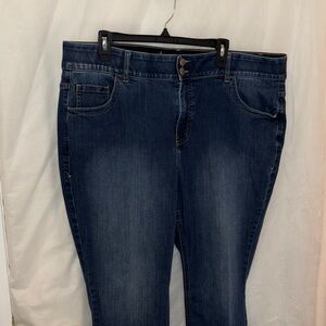Lane Bryant Women's Blue Jeans